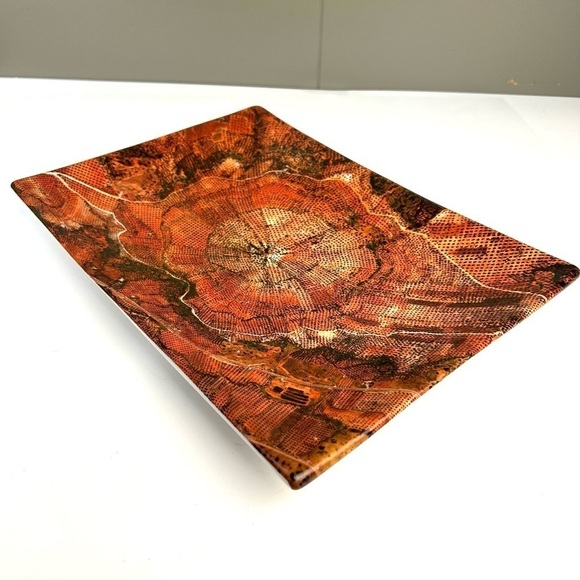 Edward Burtynsky Limited Edition Plate  Olive Groves Jaen Spain MOCCA Award 2011 - Picture 3 of 12